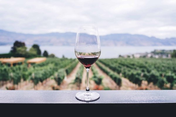 Quels sont les alcools et les vins les plus appréciés ?